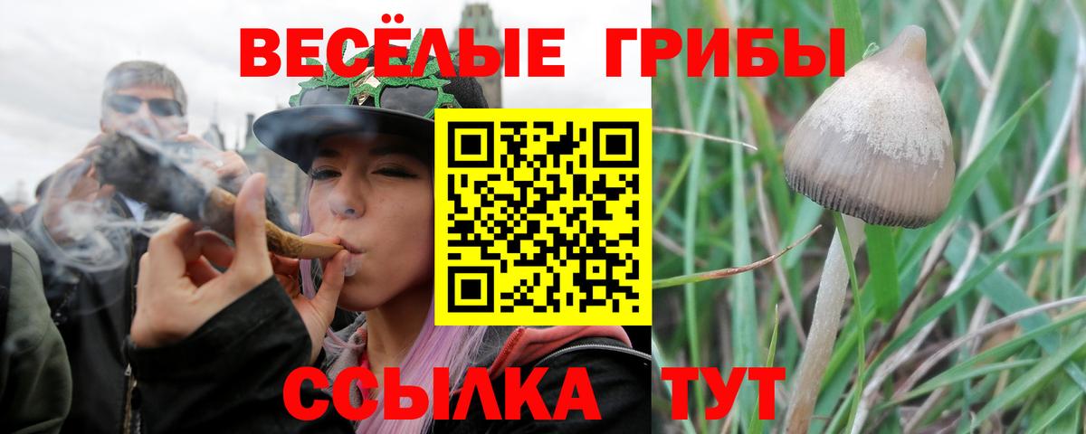 Псилоцибиновые грибы Cubensis  наркошоп  Галлюциногенные грибы ЛСД  Ачхой-Мартан  Вход с VPN 